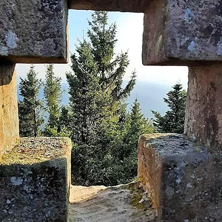 La Climontaine 3* Urbeis